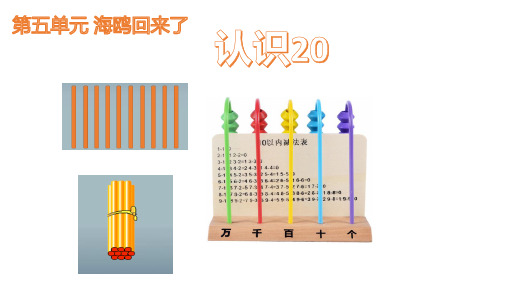 一年级上册数学课件 认识20 青岛版 共11张