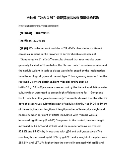 吉林省“公农1号”紫花苜蓿高效根瘤菌株的筛选