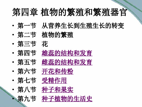 植物学：第四章 植物的繁殖和繁殖器官