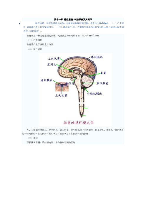 神经内科基本功9