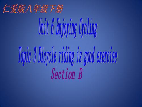 八年级英语下册 Unit 6 Enjoying Cycling Topic 3 bic