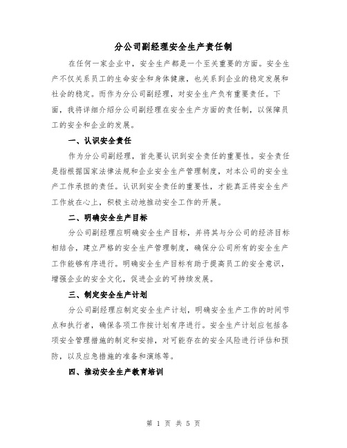 分公司副经理安全生产责任制（四篇）