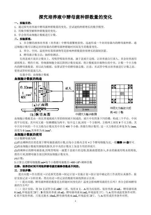 探究培养液中酵母菌数量的变化