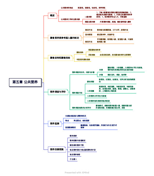 《营养与食品卫生学》——第五章公共营养 思维导图