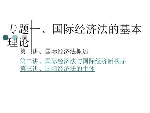 国际经济法专题一 国际经济法的基本理论-精品文档