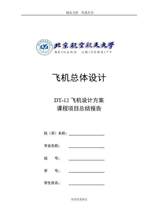 2010年度飞行器总体设计DT-12设计小组课程项目最终总结报告