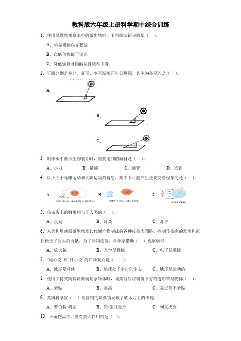 教科版六年级上册科学期中综合训练试卷(附答案)