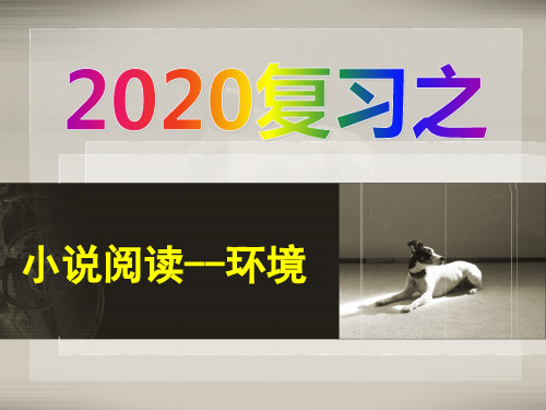 2020高考语文----小说环境复习 (PDF版)