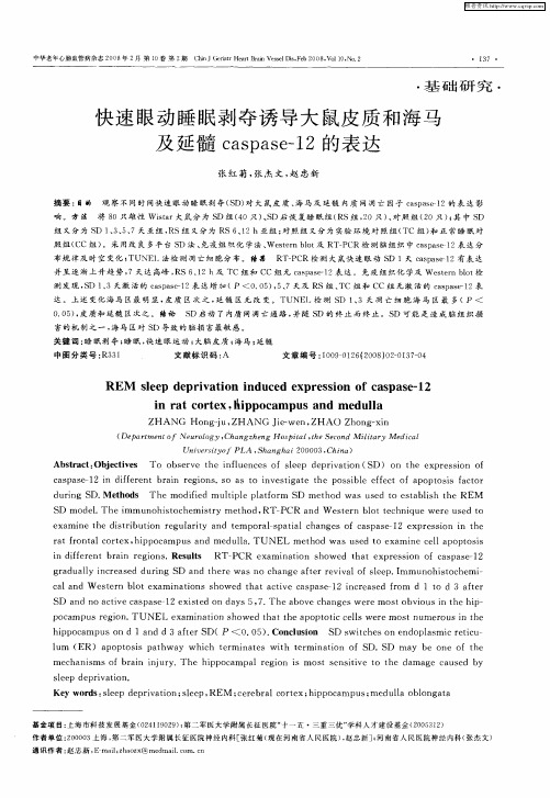 快速眼动睡眠剥夺诱导大鼠皮质和海马及延髓caspase-12的表达