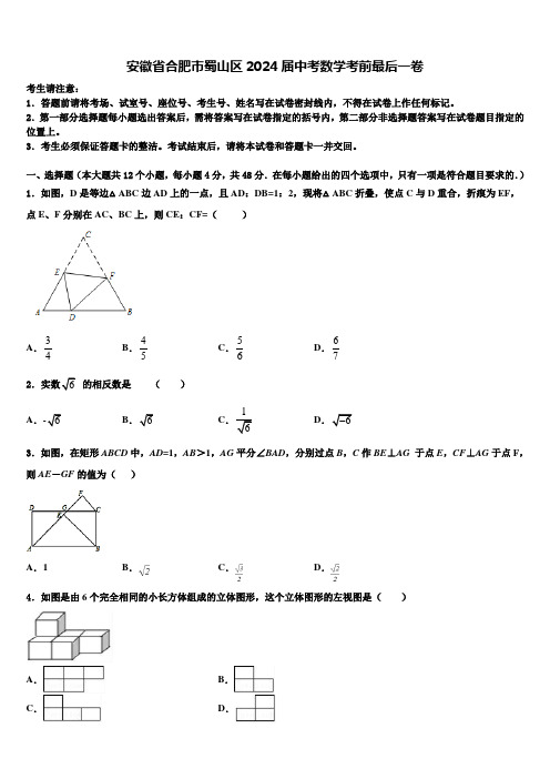 安徽省合肥市蜀山区2024届中考数学考前最后一卷含解析