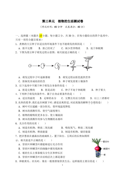 第三单元 植物的生活测试卷-2024—2025学年八年级生物冀少版上册