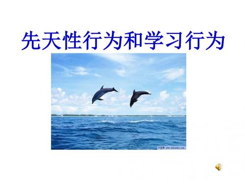 最新人教版八年级生物上册《先天性行为和学习行为》课件