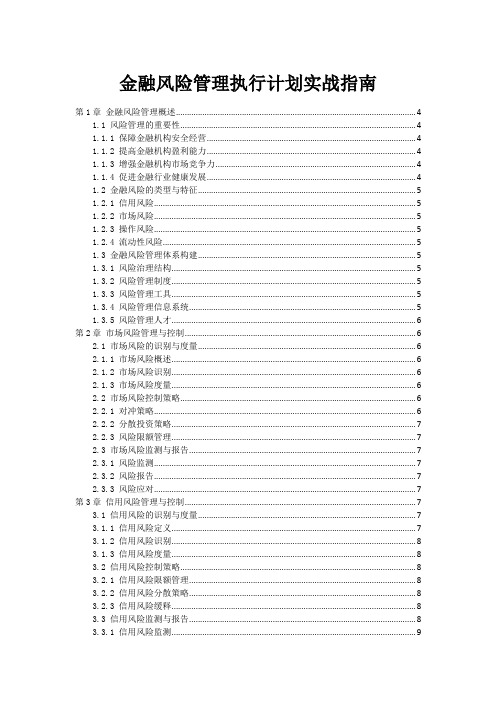 金融风险管理执行计划实战指南