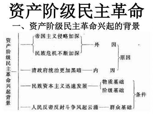 同盟会的成立和革命形势的发展