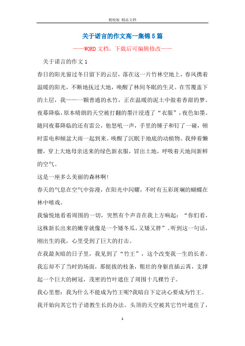 关于诺言的作文高一集锦5篇