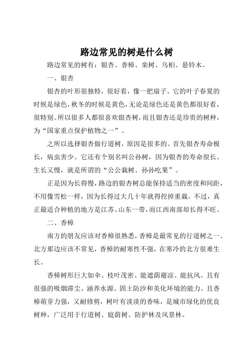 路边的树是什么树