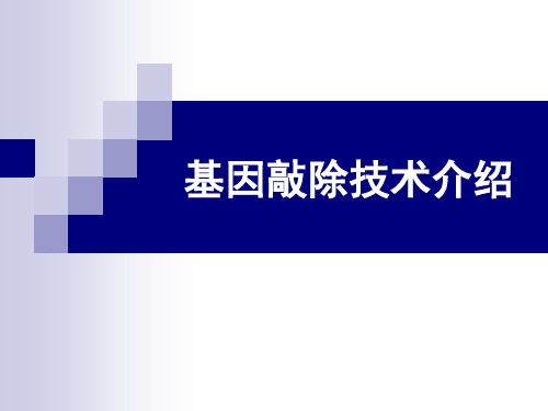 基因敲除技术汇总.