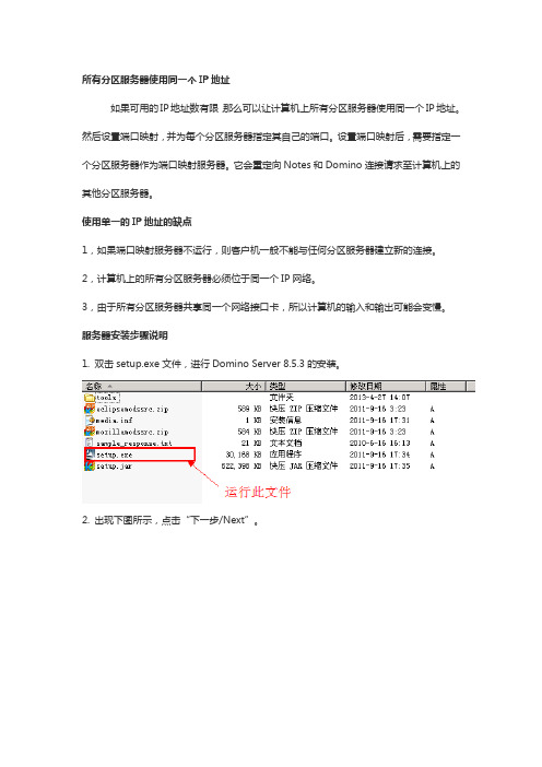 Domino单IP分区服务器说明