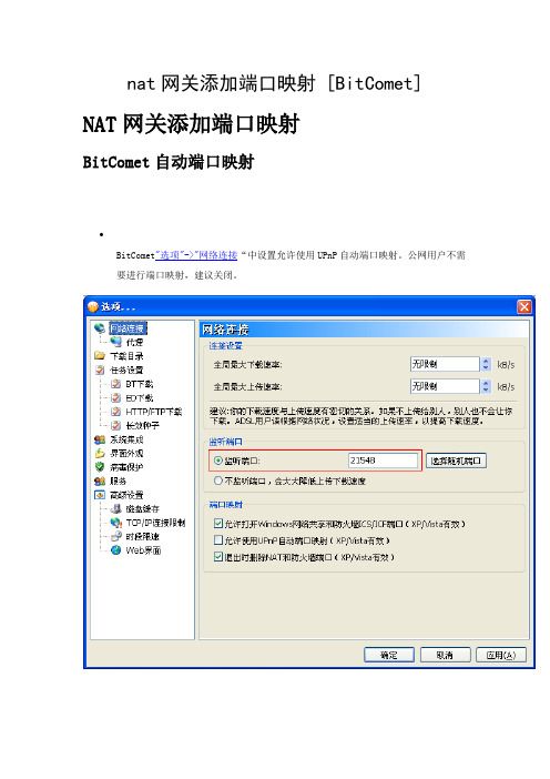 nat网关添加端口映射 [BitComet]