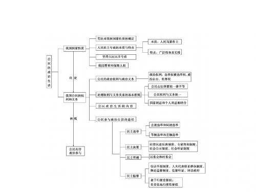 高考政治一轮复习：公民的政治生活PPT课件(共3份)