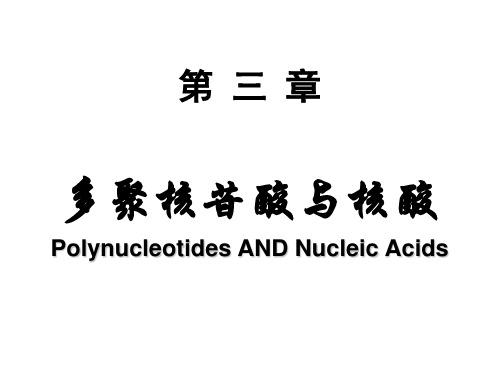 第三章 多聚核苷酸与核酸