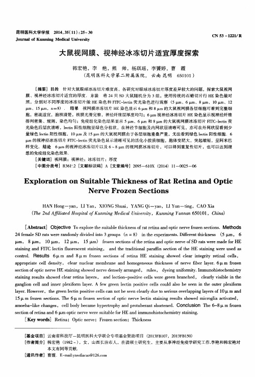大鼠视网膜、视神经冰冻切片适宜厚度探索