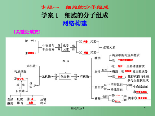 高考二轮专题复习 第一部分专题一 1细胞的分子组成