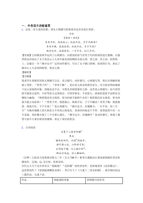 2020-2021中考语文诗歌鉴赏-经典压轴题附详细答案