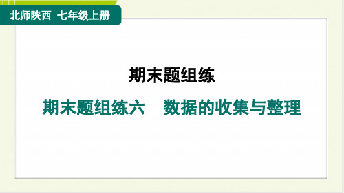 2024年北师大版七年级上册数学期末复习题组训练六 数据的收集与整理