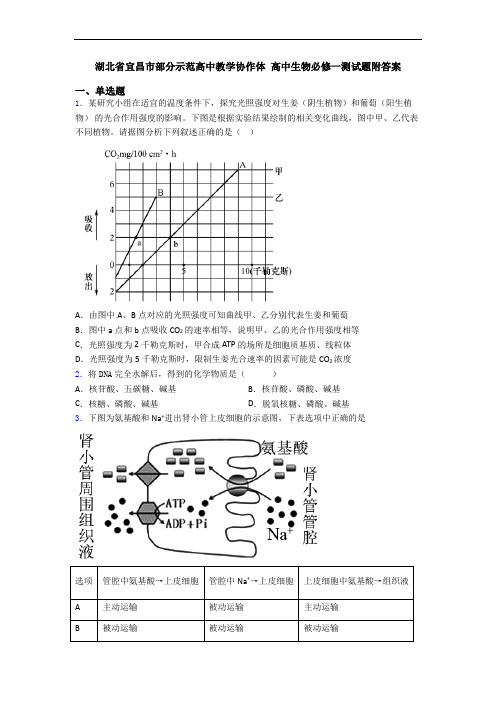 湖北省宜昌市部分示范高中教学协作体 高中生物必修一测试题附答案