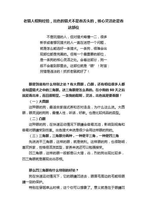 老猎人相狗经验，出色的猎犬不是看舌头的，核心灵活处是看这部位