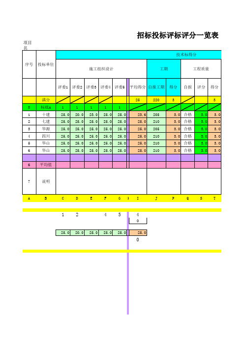 招标投标评标评分系统(自动计算)