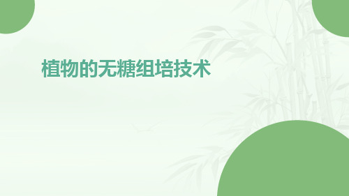 植物的无糖组培技术