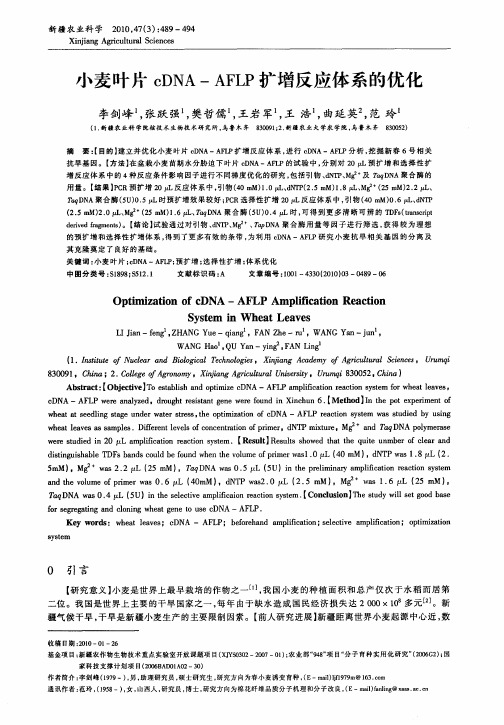 小麦叶片cDNA—AFLP扩增反应体系的优化