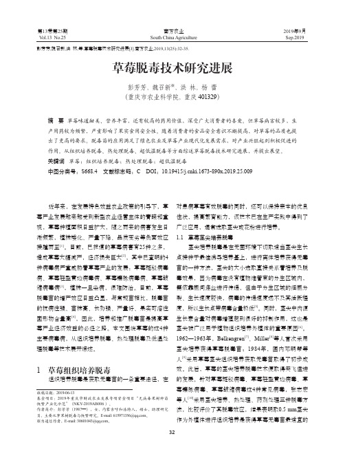草莓脱毒技术研究进展