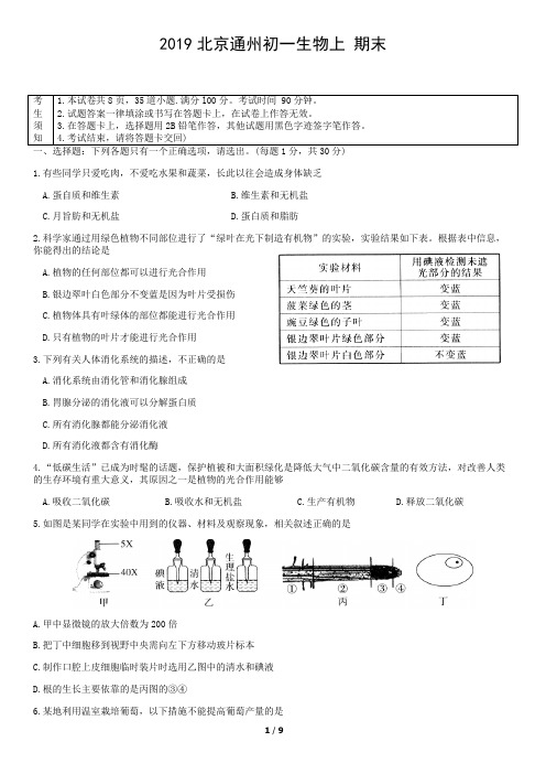 2019北京通州初一生物上 期末