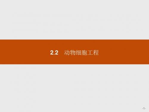 高二生物人教版选修3课件2.2.1动物细胞培养和核移植技术