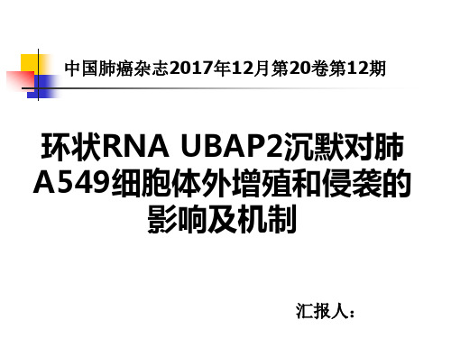 环状RNA UBAP2沉默对肺A549细胞体外增殖和侵袭的影响及机制文献汇报样板