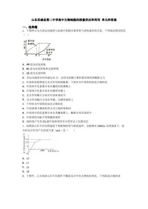 山东武城县第二中学高中生物细胞的能量供应和利用 单元和答案