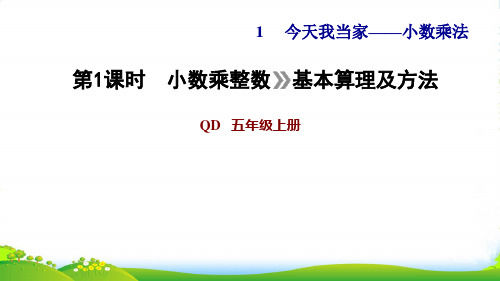 五年级数学上册 一 今天我当家——小数乘法第1课时 小数乘整数(基本算理及算法)习题 青岛六三制