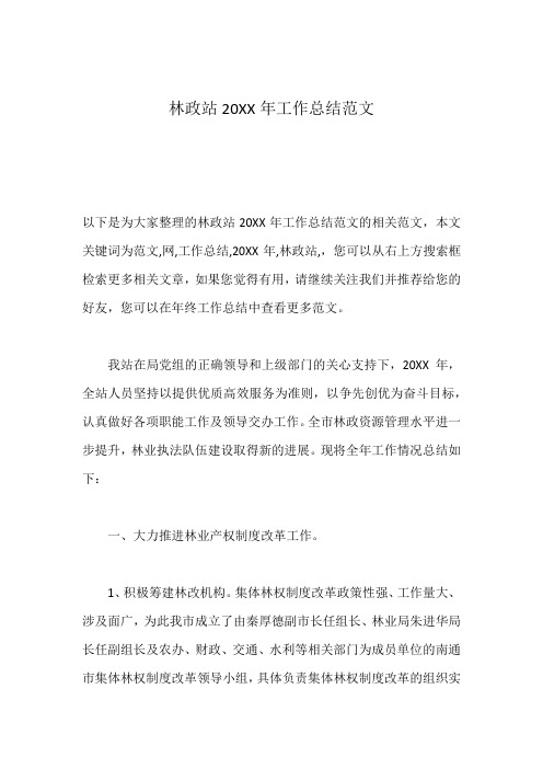 林政站20XX年工作总结范文