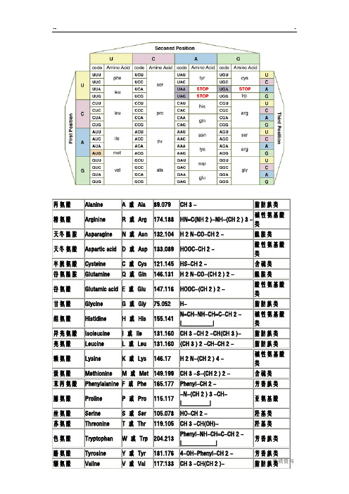 氨基酸密码子对照表