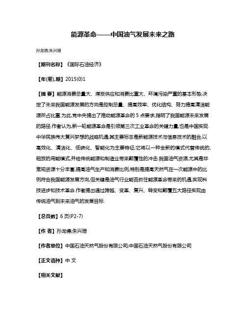 能源革命——中国油气发展未来之路