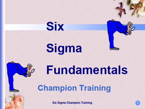 6sigmachampion培训教材英文(PPT 78页)