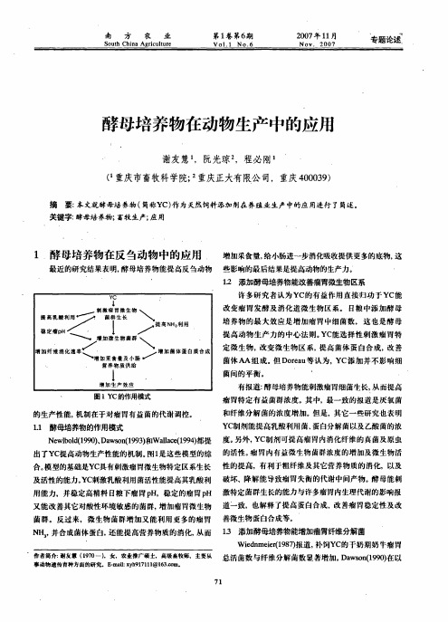 酵母培养物在动物生产中的应用