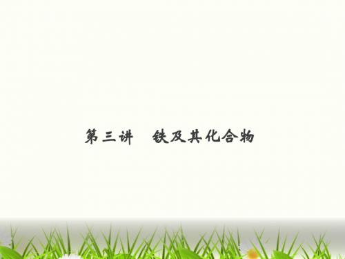 2014届高三化学一轮复习课件铁及其化合物