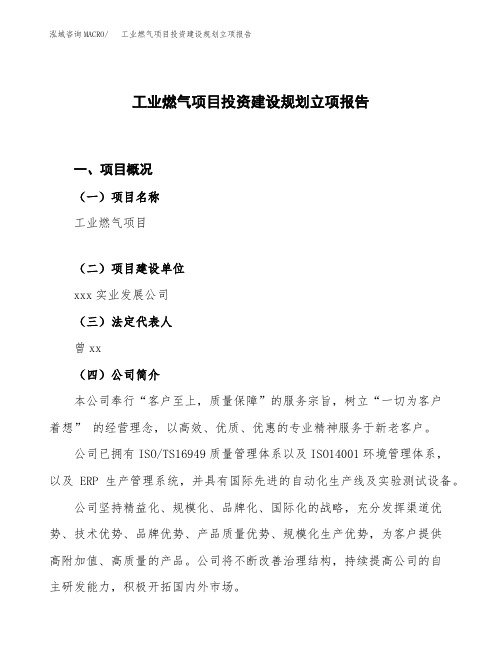 工业燃气项目投资建设规划立项报告