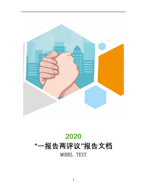 2020“一报告两评议”报告文档