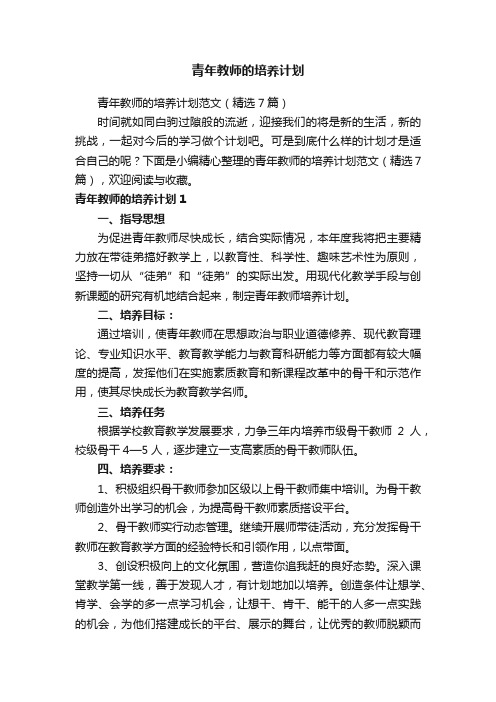 青年教师的培养计划