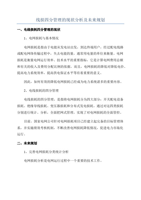 线损四分管理的现状分析及未来规划